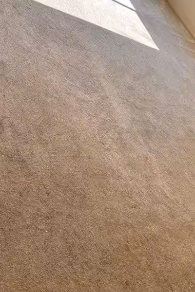 N.G.Y Carpet & Upholstery Cleaning Experts CARPET CLEANING in miami