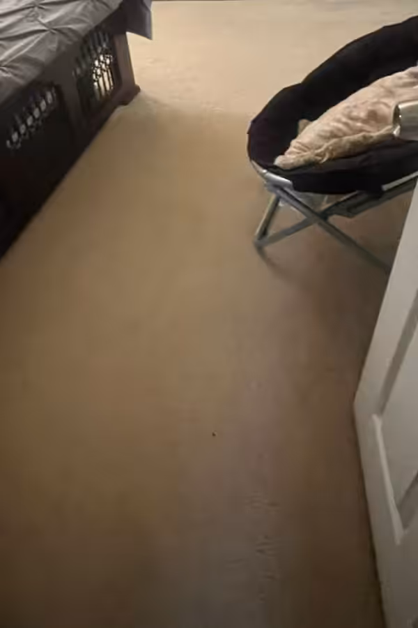 N.G.Y Carpet & Upholstery Cleaning Experts N.G.Y Carpet & Upholstery Cleaning Experts